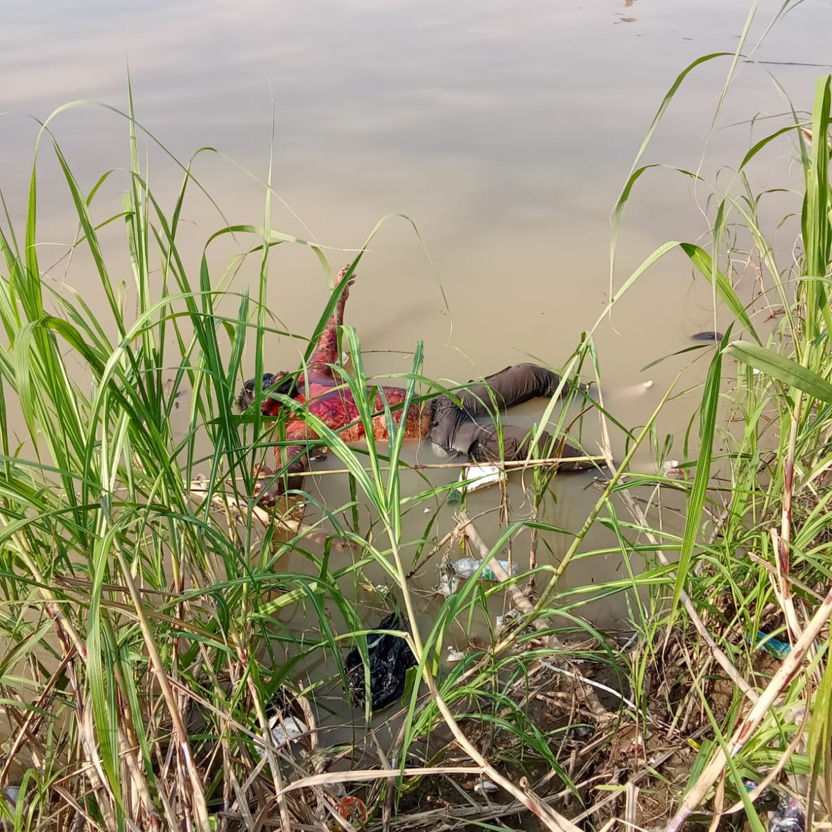Mayat Diduga Pemancing Tanpa Identitas, Ditemukan Mengapung di Sungai Cimanuk Indramayu