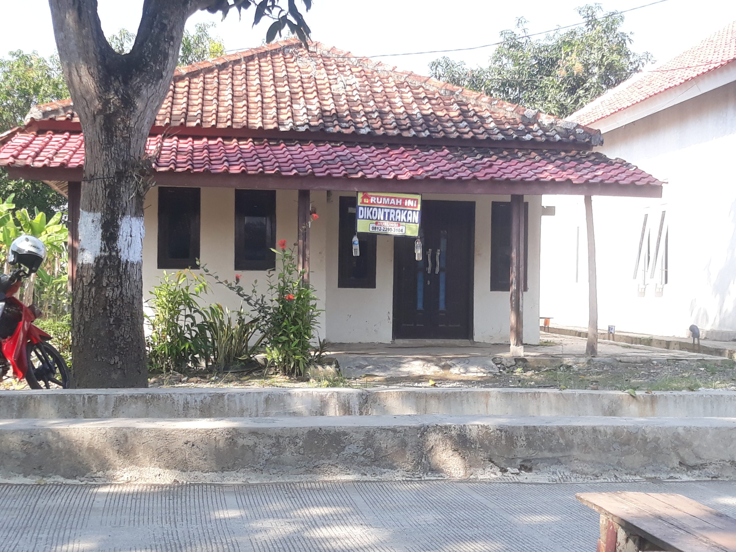 Redy,Rumah kontrakan di Blok Cangkring Lohbener, Lokasi Strategis Suasana Pedesaan