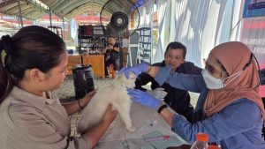 Vaksin Rabies Kucing Gratis Ramaikan Acara Indramayu Festival Reptil
