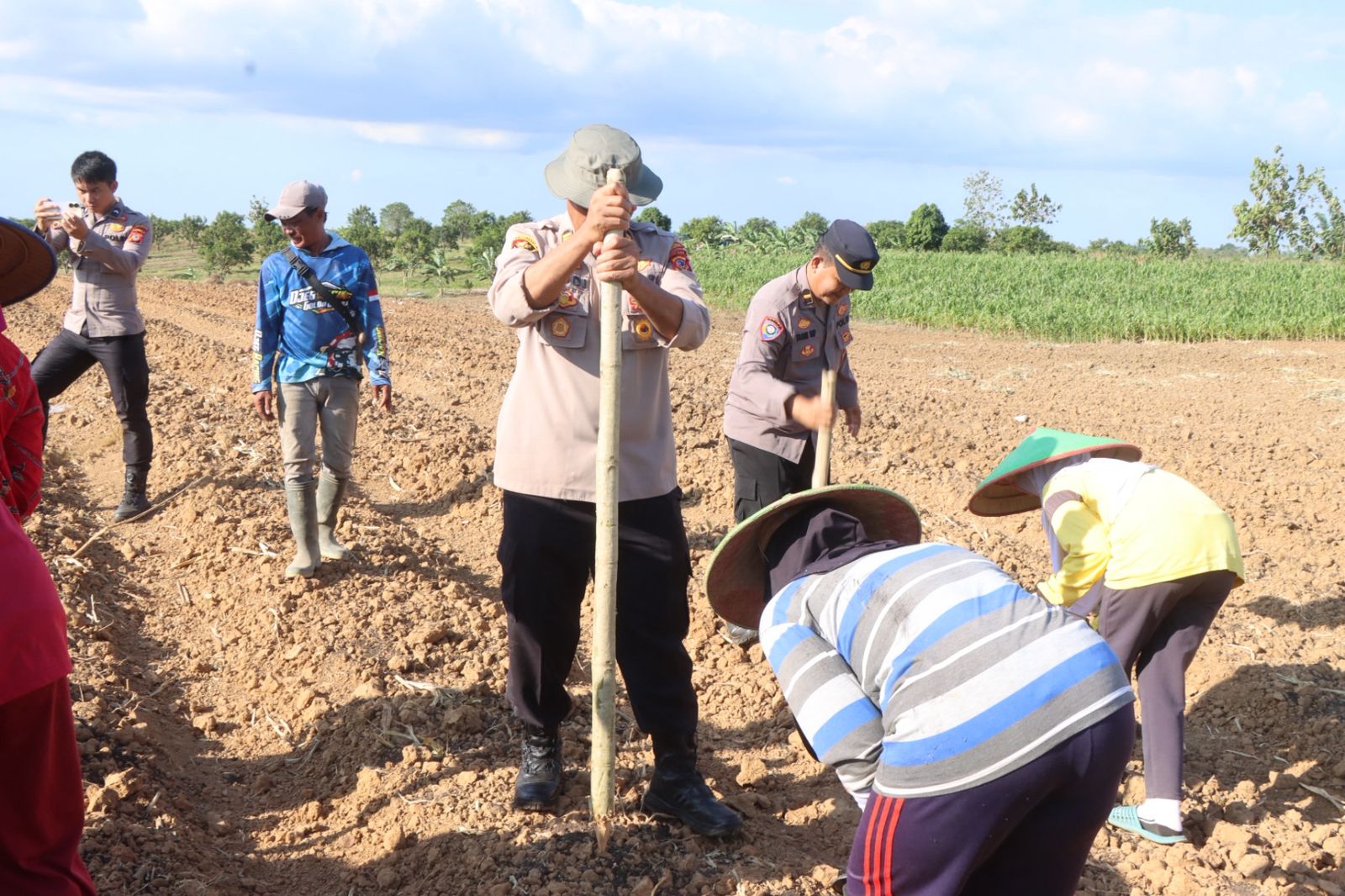 Polres Indramayu Bersama Petani Berhasil Tanam Bibit Jagung 10 Hektar