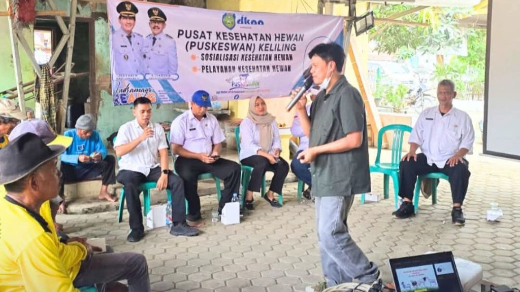 Dinas Ketahanan Pangan dan Pertanian (DKPP) Kabupaten Indramayu mengambil langkah proaktif dalam mendukung sektor peternakan dengan menyelenggarakan sosialisasi kesehatan hewan bagi Kelompok Tani