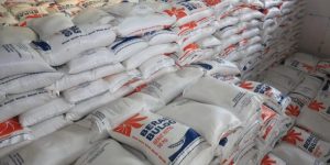 Bapanas dan Bulog Resmi Salurkan Bantuan Pangan Beras Minyak untuk Bulan Oktober-November 2025