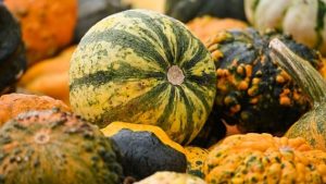 Manfa’at Labu Emas Buat Kesehatan, Kaya Vitamin Untuk Tubuh Kita