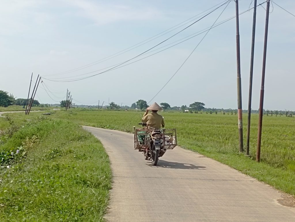 Kondisi infrastruktur kabel internet di sepanjang jalan Desa Tawangsari menuju Desa Sukasari Dongkal, Kabupaten Indramayu, dikeluhkan warga