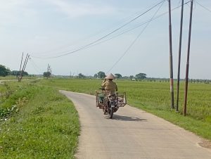 Puluhan Tiang Internet WiFi di Jalan Tawangsari Doyong, Warga Keluhkan Minimnya Perawatan