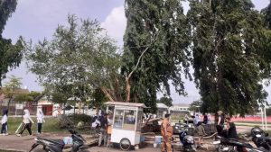 Penanganan Pohon Tumbang Lamban, Ketua Paguyuban SC Semprot Kinerja Pemkab Indramayu