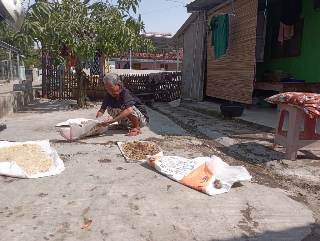 Salah satu pengepul yang sudah lama menggeluti usaha ini adalah Ibu Rimah (60), warga Blok Karang menyan, Desa Tamansari