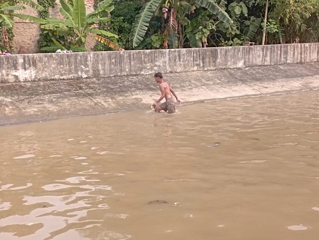 Peningkatan debit air sungai akibat cuaca ekstrem justru menjadi wahana bermain bagi sejumlah anak di Kecamatan Lohbener untuk berenang.