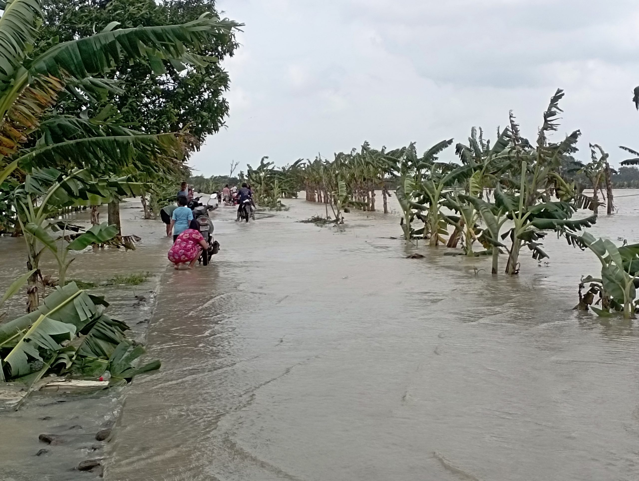 Intensitas hujan tinggi yang mengguyur wilayah Kabupaten Indramayu dalam sehari terakhir memicu banjir di sejumlah titik.