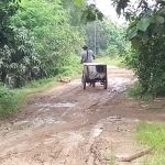 Kondisi jalan di Blok Tanggul Bungkul Barat, RT 04 RW 03, Kelurahan Bojongsari, Kabupaten Indramayu, kian memprihatinkan.