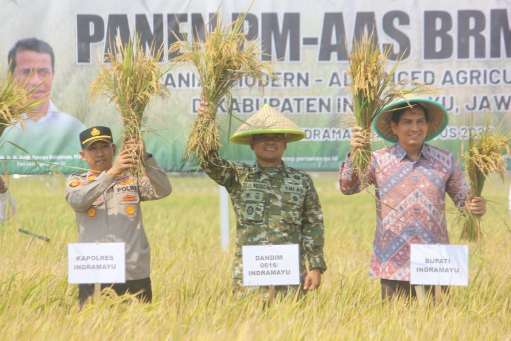 Dandim 0616, Bersama Bupati Indramayu Hadiri Panen Perdana di Kecamatan Terisi