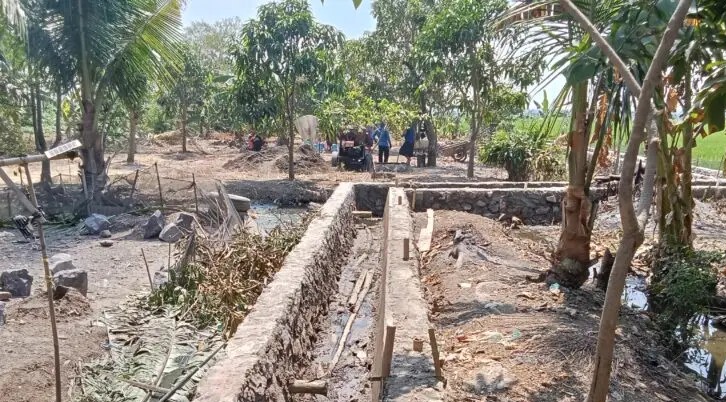 10 Hektare Sawah Milik Petani Desa Sukasari Arahan Kini Makin Terjamin
